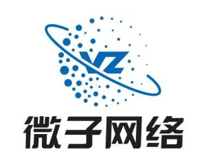 江苏微子网络科技