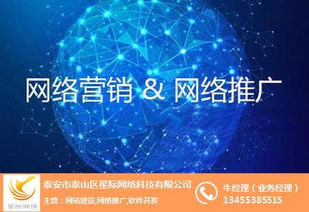 泰安百家号市场怎么样 泰安百家号 星际网络 查看