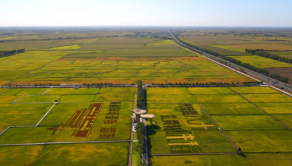 科技赋能 绿色崛起——扎赉特旗农畜产品加工产业集群入围自治区级名单